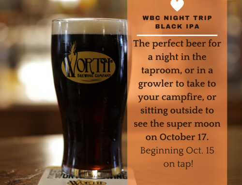 Night Trip Black IPA